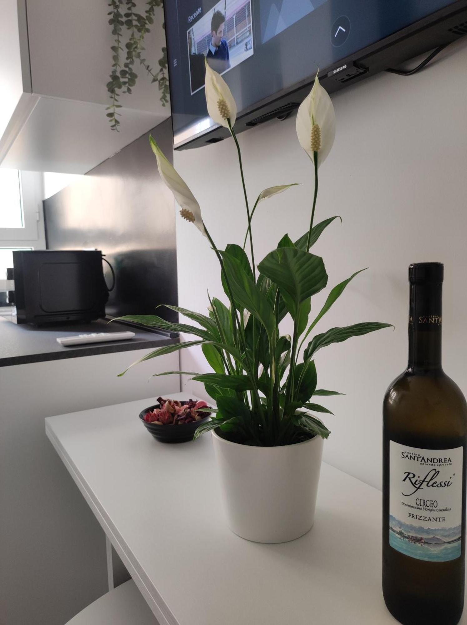 Oniria Suite - 100 Mt Dal Mare Terracina Zewnętrze zdjęcie